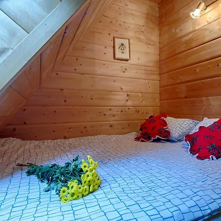 Regionalny Akwarela Centrum Sauna