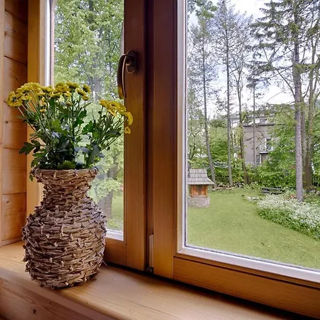 Regionalny Akwarela Centrum Sauna Chalet